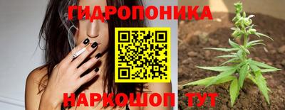 скорость Тара
