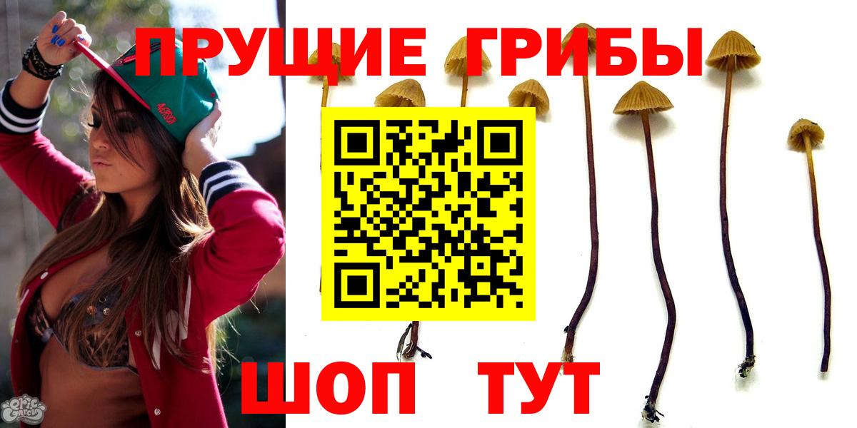Биробиджан  Псилоцибиновые грибы GOLDEN TEACHER  Вход с VPN 